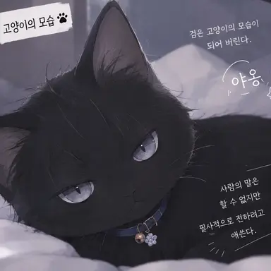 Profile image of 시라이시 나기