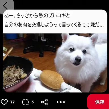 Profile image of ドット