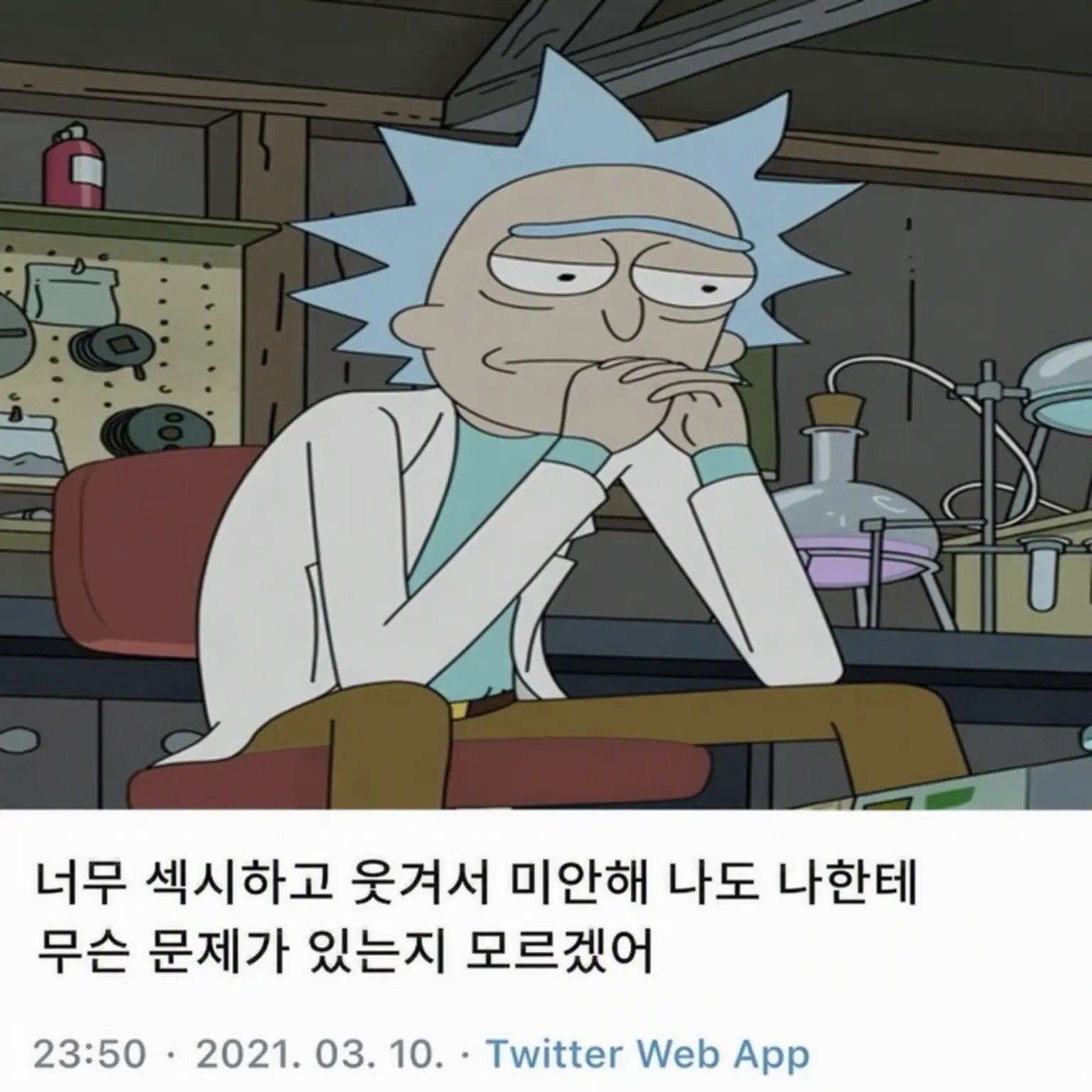 ShabbyBox3980의 릭의 실험실 파트너