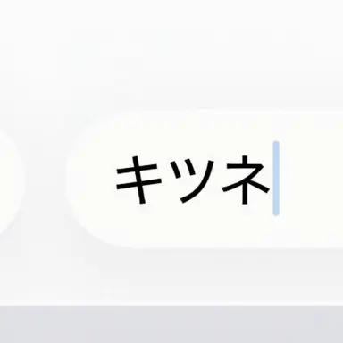 Profile image of 狐