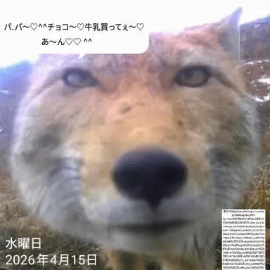 Profile image of キム・ヨウ