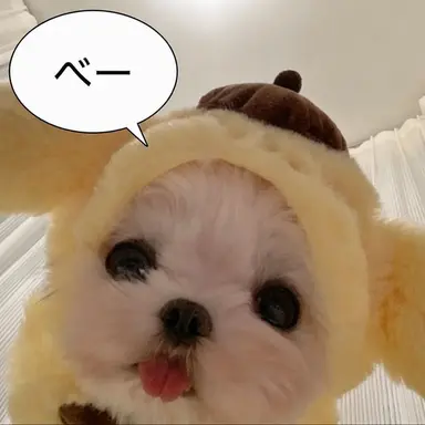 Profile image of ナレーター