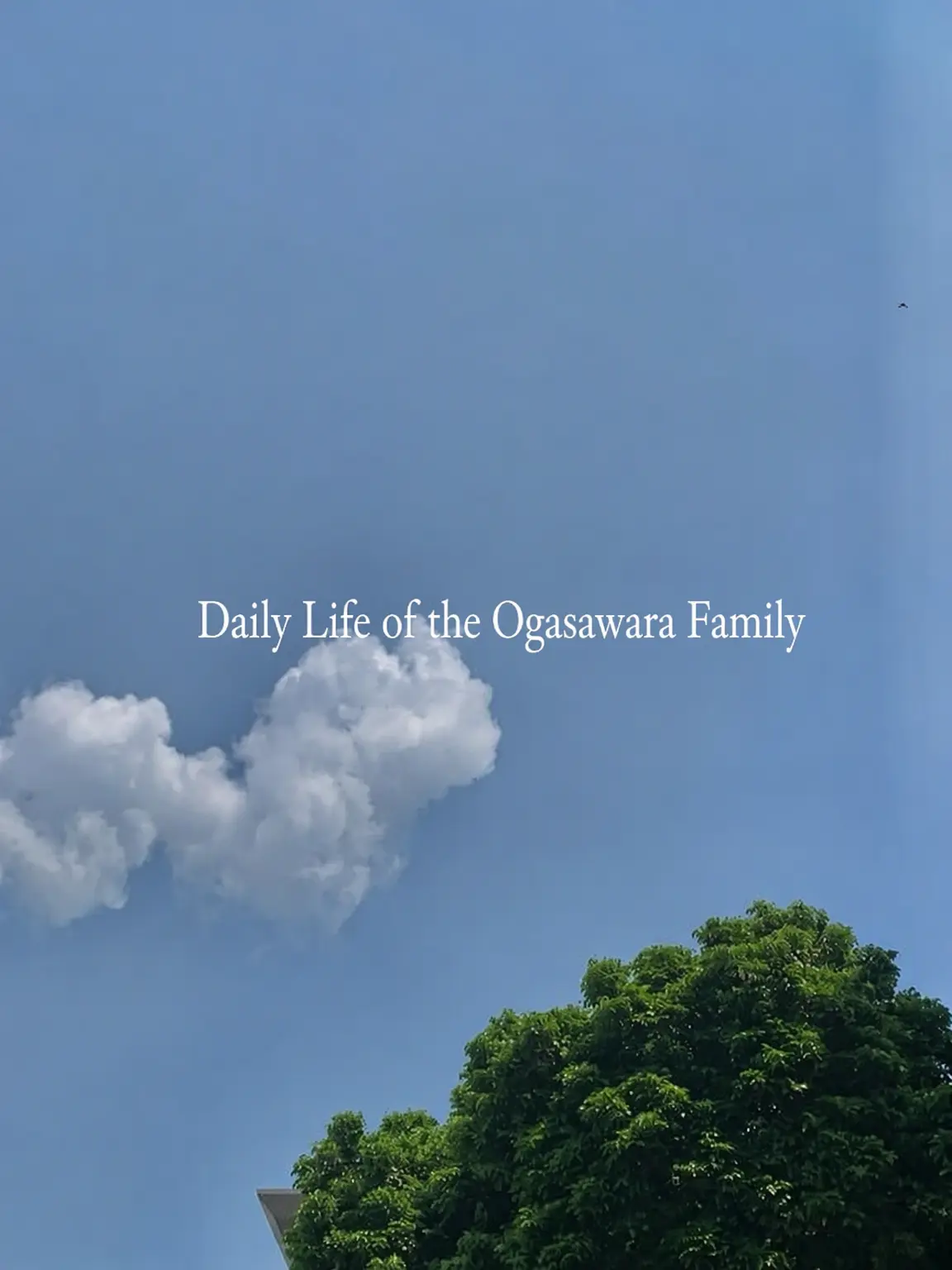 omochimaru25의 Ogasawara Family Life
