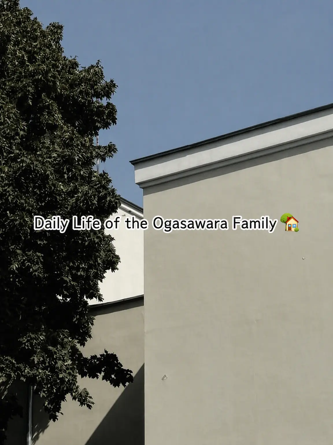 omochimaru25의 Ogasawara Family Life 🏡