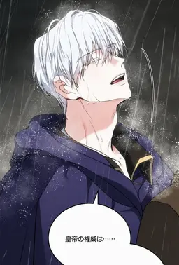 Profile image of ヴィルミア