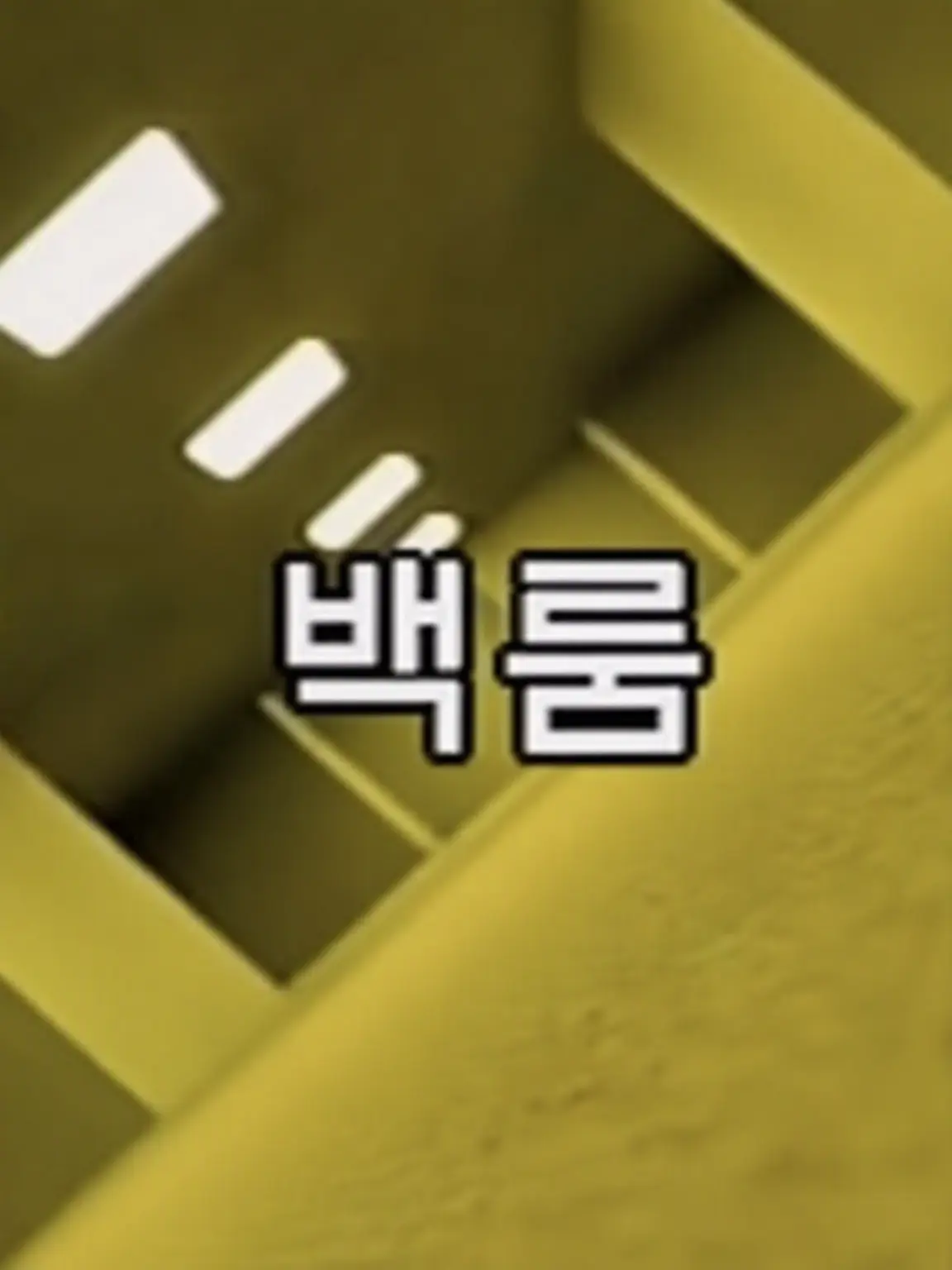DullCache7506의 백룸에 와버렸다