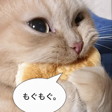 Profile image of 空野ツバサ