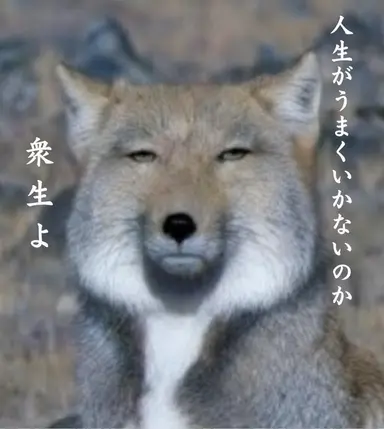 Profile image of イ・ヨウ