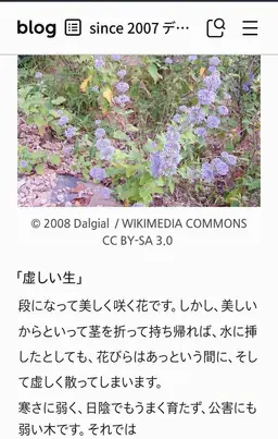 Profile image of スヒョン