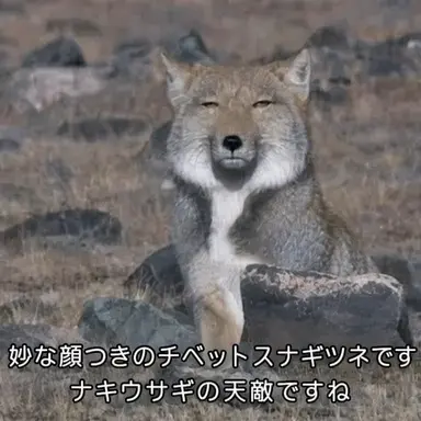 Profile image of ヨウ