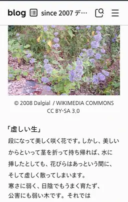 Profile image of スヒョン
