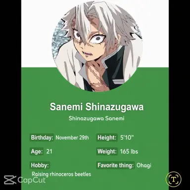 Profile image of Shinazugawa Sanemi