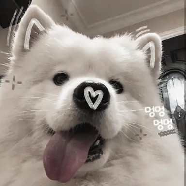 Profile image of 석훈