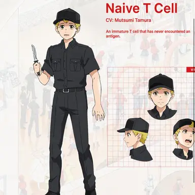 Profile image of Naive T Cell