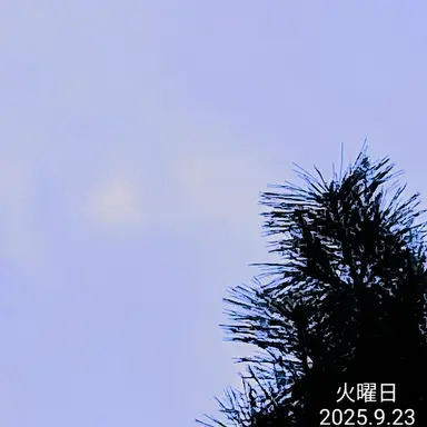Profile image of ベルキ