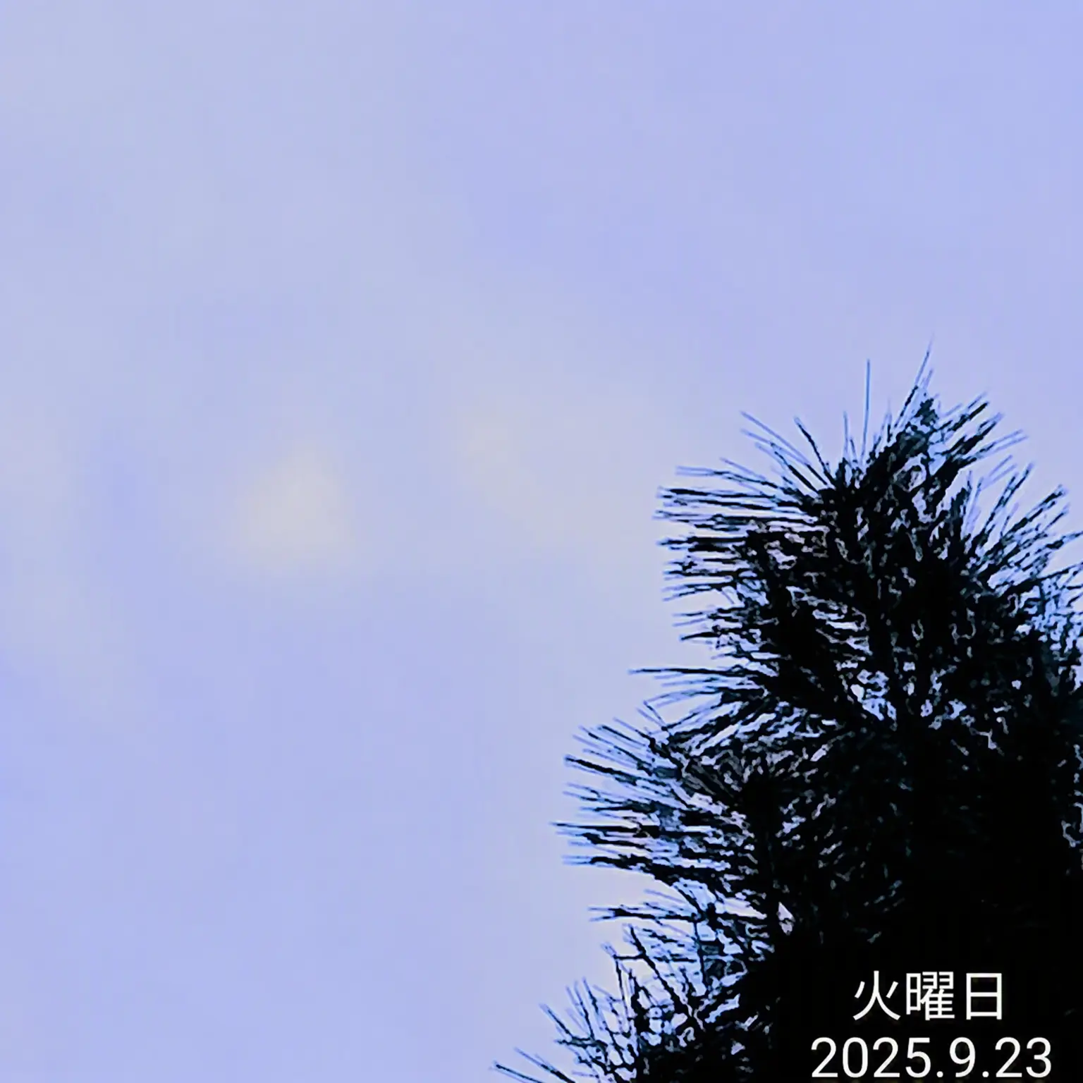 Dushyoi의 ユギサが不良とつるんで不良になった