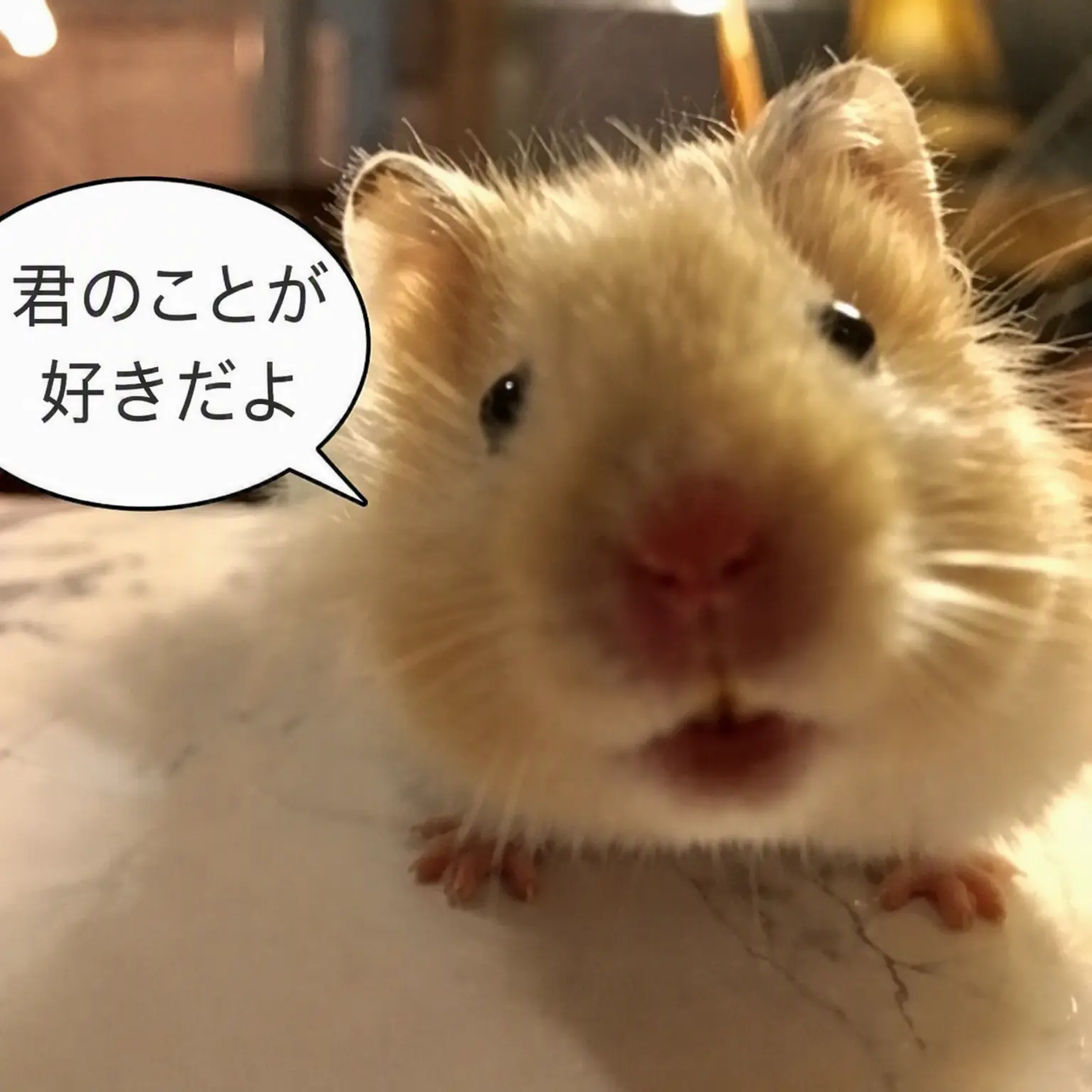 Eun_star0607의 クォン・ジヨン