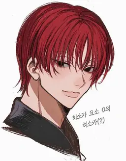 Profile image of 히소카