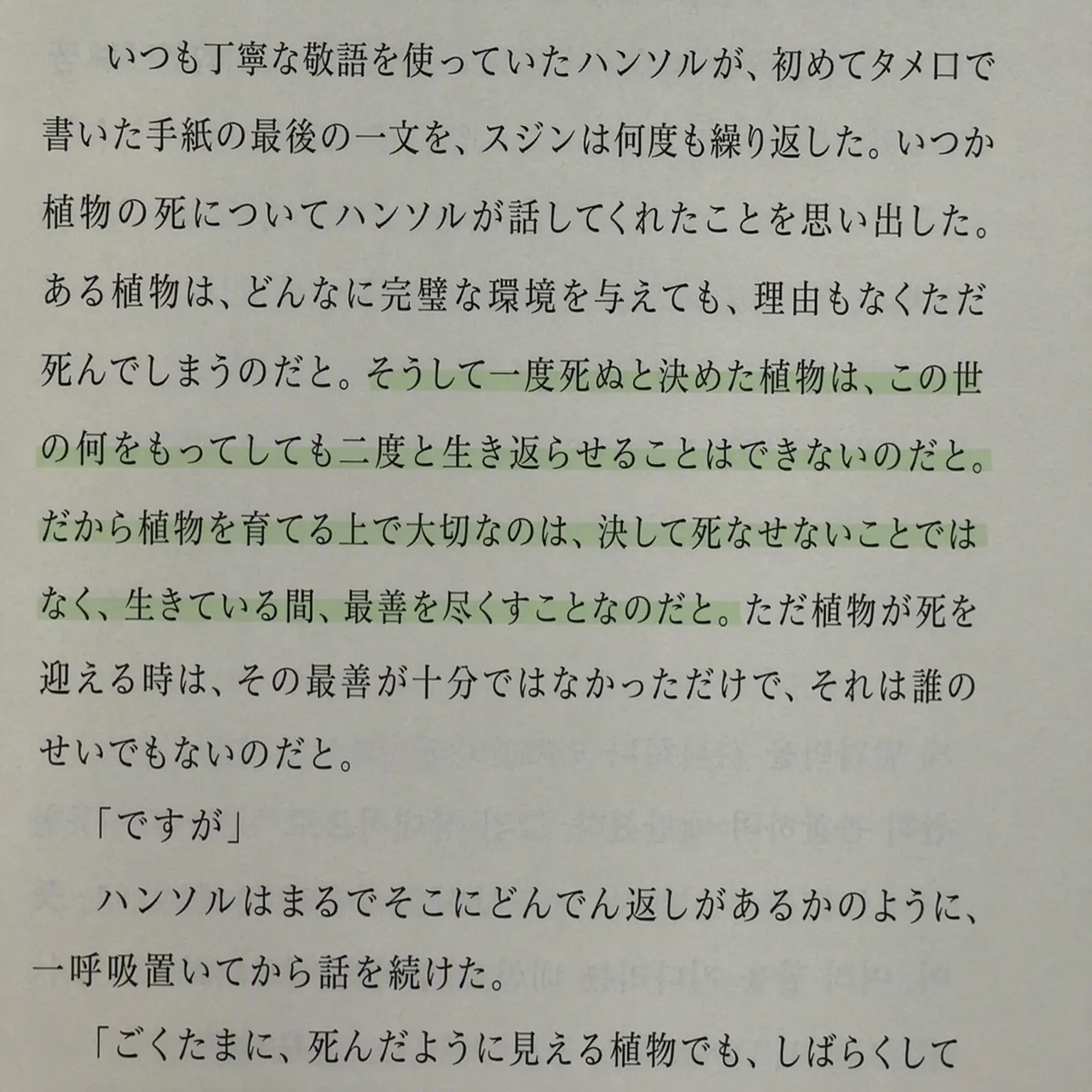 Sullbaekyulover의 チェ・ジウ