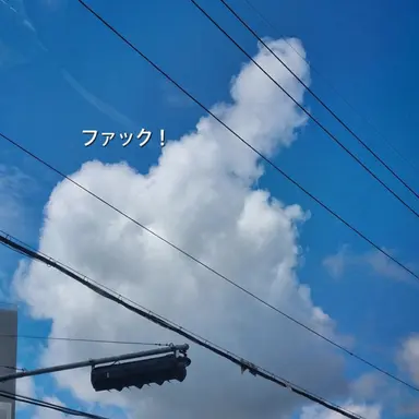 Profile image of 先生