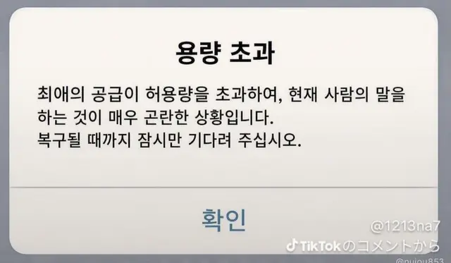 Profile image of 용량 초과