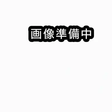 Profile image of 不死川実弥