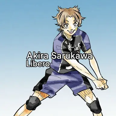 Profile image of Hikaru Sarukawa