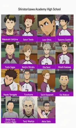 Profile image of Shiratorizawa