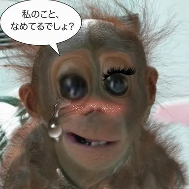 Profile image of ソン・ヨウ