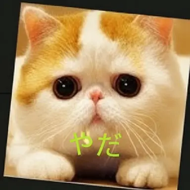 Profile image of ナーフ