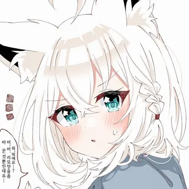 Profile image of 시라카미 후부키