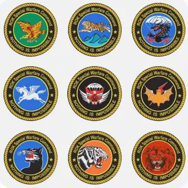 Profile image of Airborne Special Forces Brigade