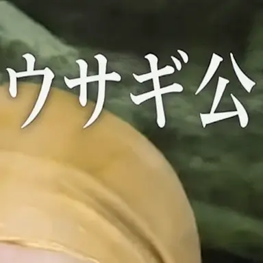 Profile image of ウサギ姫