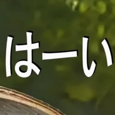 Profile image of ネヒン