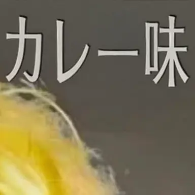 Profile image of カレー味の糞＿糞味のカレー