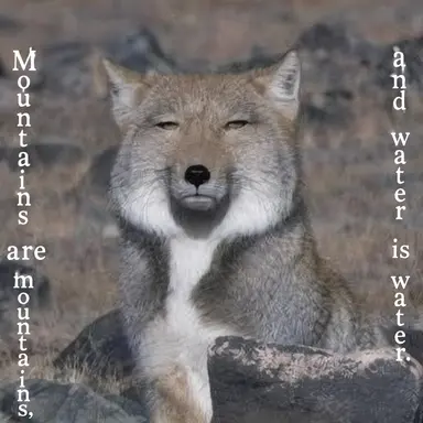 Profile image of Wolf