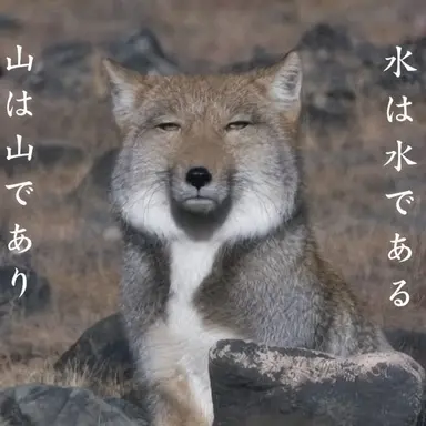 Profile image of 늑대