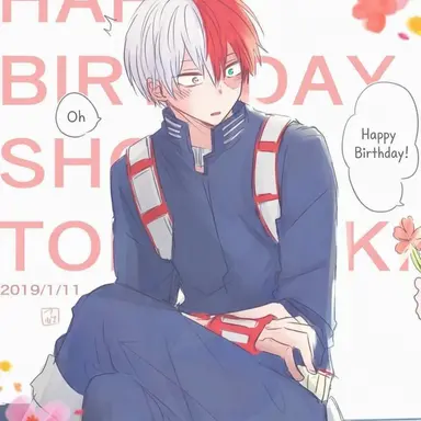 Profile image of Shoto Todoroki