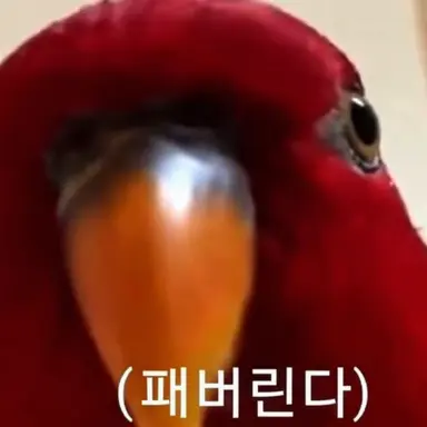 Profile image of 괴롭힘 가해자 B
