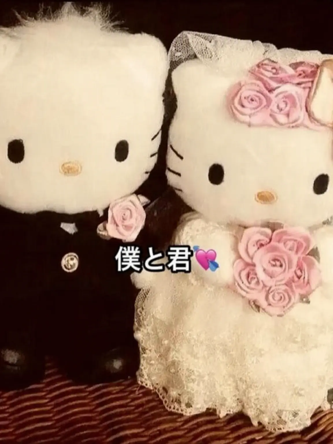 IndigoLoach9070의 仲良し夫婦