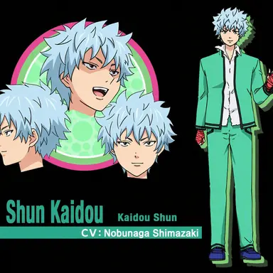 Profile image of Shun Kaido