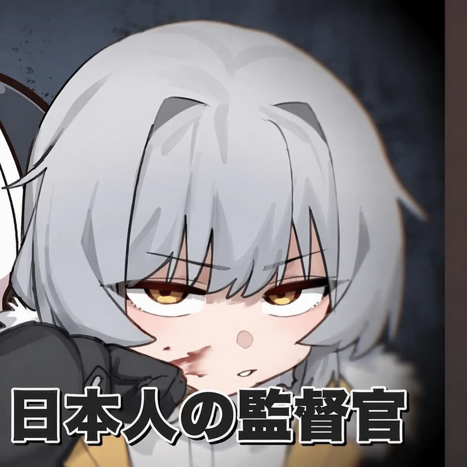 MuskyHoney4496의 ゲモイム