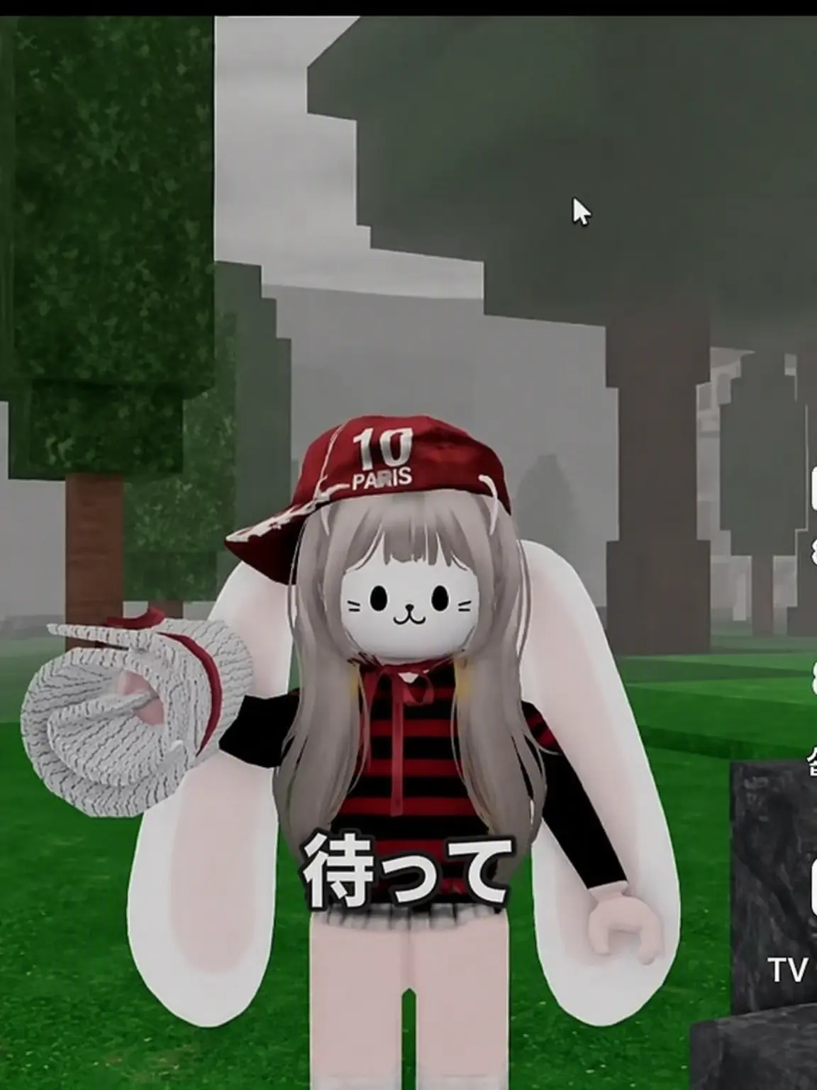 BarrenCough5520의 ゲム・ハリン
