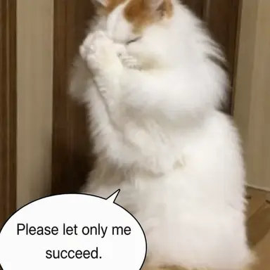 Profile image of Neko