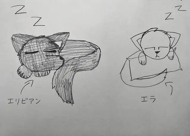 Profile image of エラ