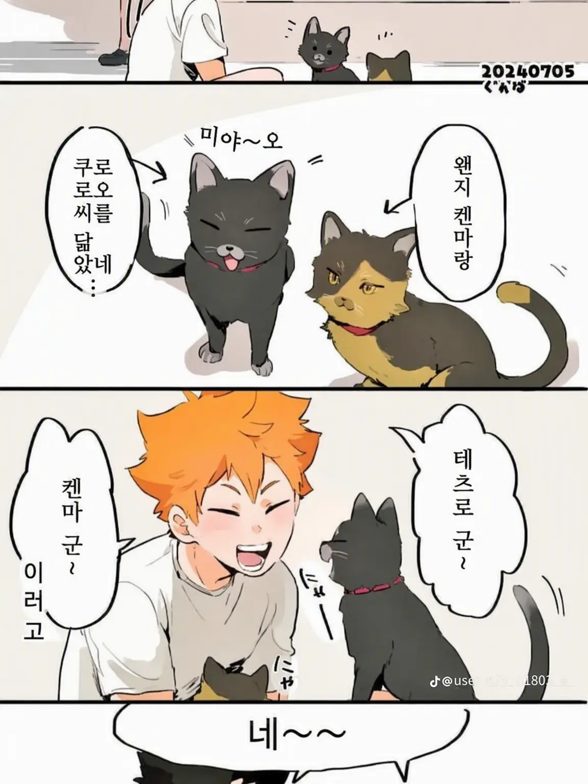 FatalTail9183의 〜합동 합숙〜