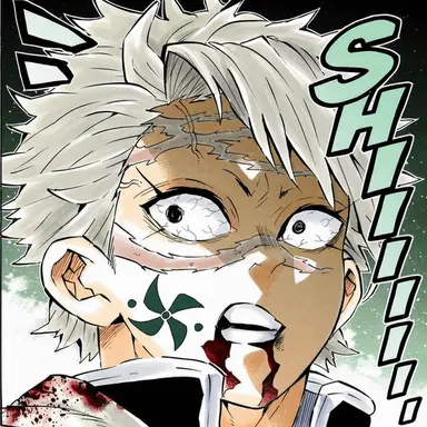 Profile image of Sanemi Shinazugawa