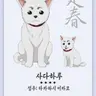 Profile image of 사다하루