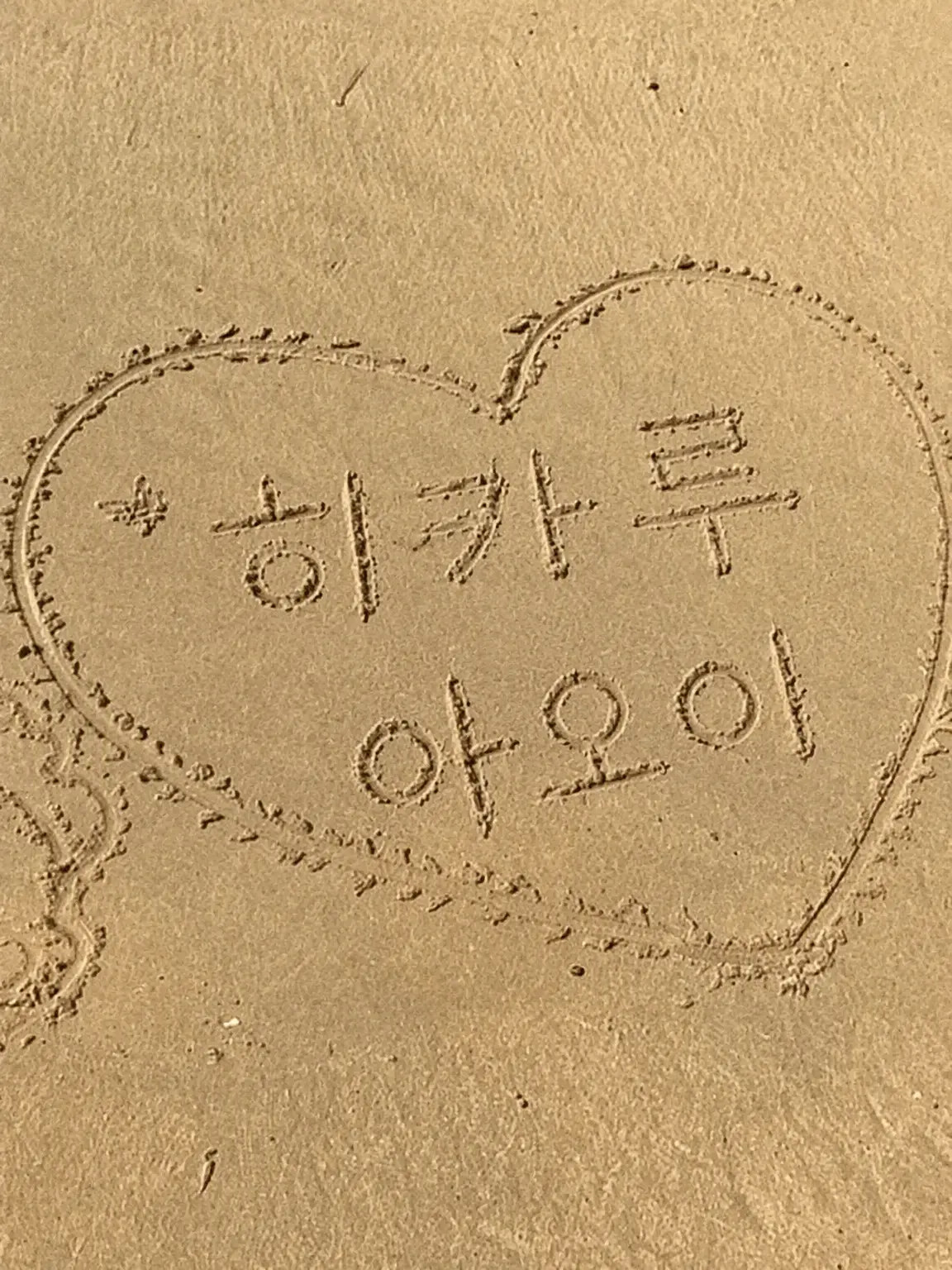 LooseEye5001의 히카루와 아오이