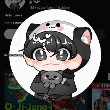 Profile image of PMI